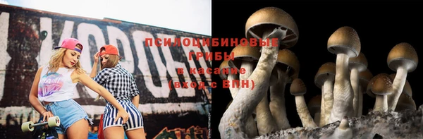 гашик Аркадак