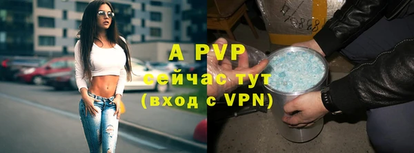 гашик Аркадак