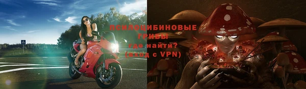 таблы Арсеньев