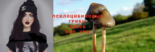 таблы Арсеньев